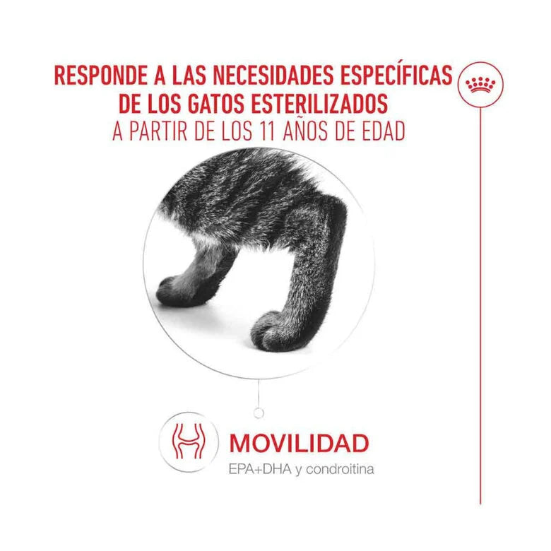 Royal Canin Ageing Sterilised 11+ Pienso para Gatos Senior Esterilizados al mejor precio -Todoanimal.es