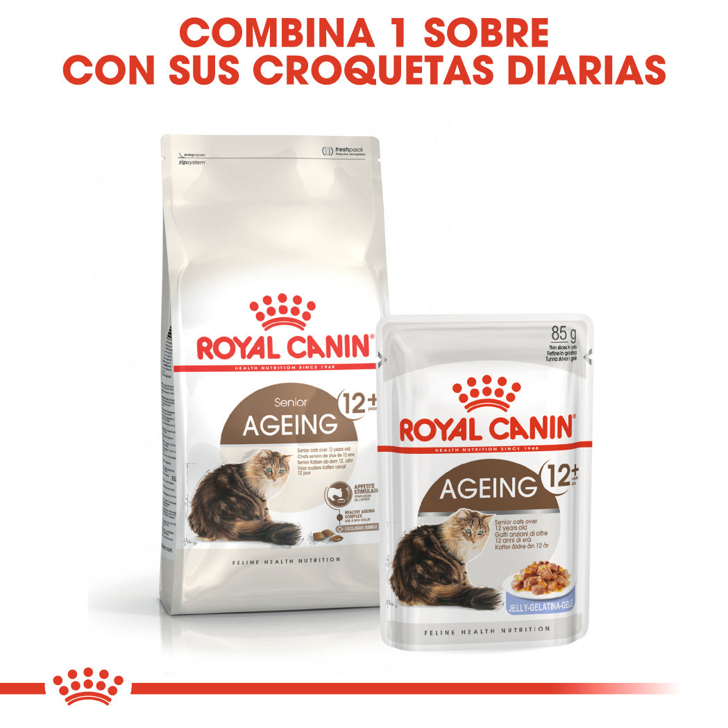 Royal Canin Ageing +12 Pienso para Gatos Senior al mejor precio -Todoanimal.es