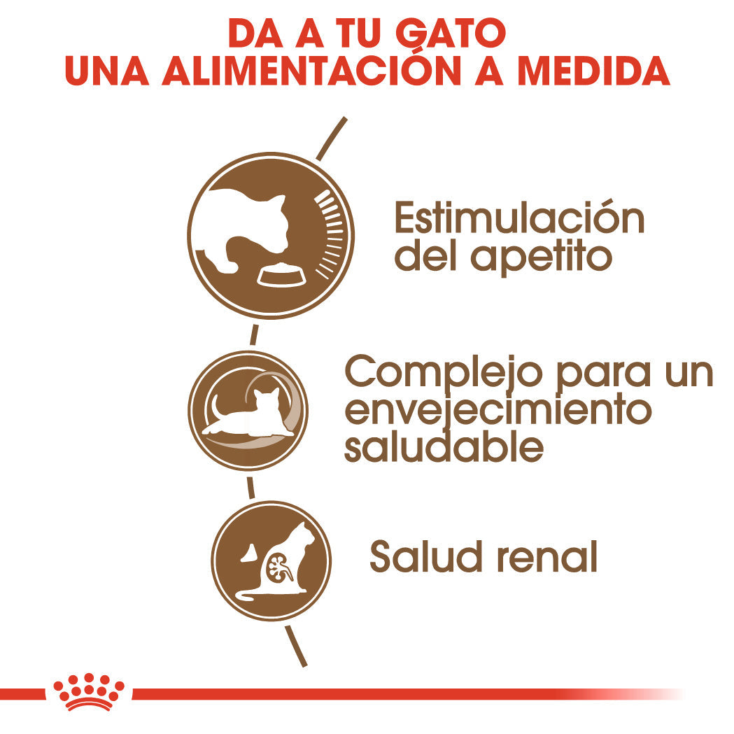 Royal Canin Ageing +12 Pienso para Gatos Senior al mejor precio -Todoanimal.es