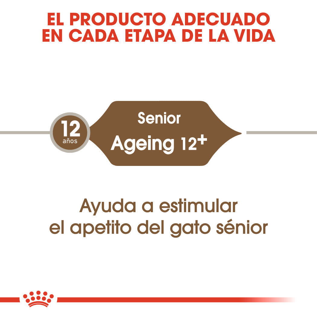 Royal Canin Ageing +12 Pienso para Gatos Senior al mejor precio -Todoanimal.es
