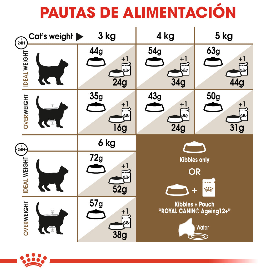 Royal Canin Ageing +12 Pienso para Gatos Senior al mejor precio -Todoanimal.es