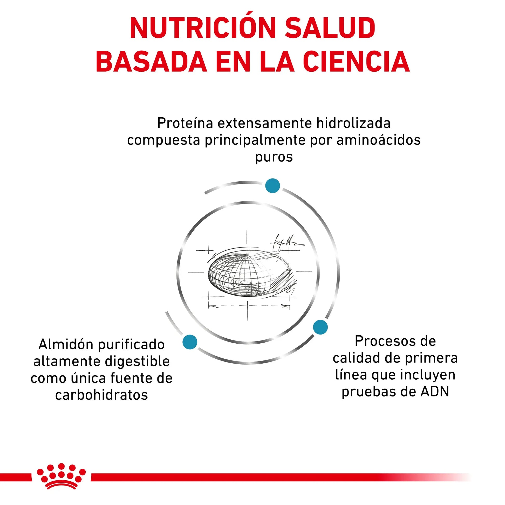 Royal Canin Anallergenic | Pienso Veterinario para Gatos con Intolerancias y Alergias Alimentarias al mejor precio -Todoanimal.es