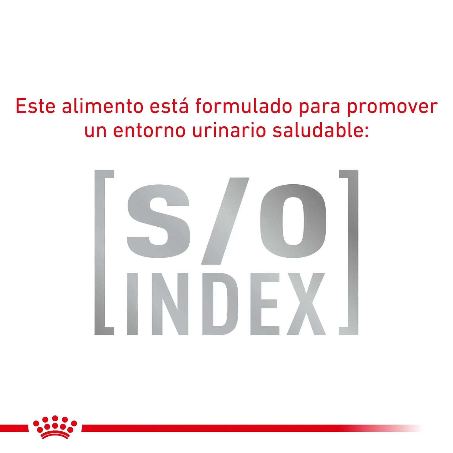 Royal Canin Anallergenic | Pienso Veterinario para Gatos con Intolerancias y Alergias Alimentarias al mejor precio -Todoanimal.es