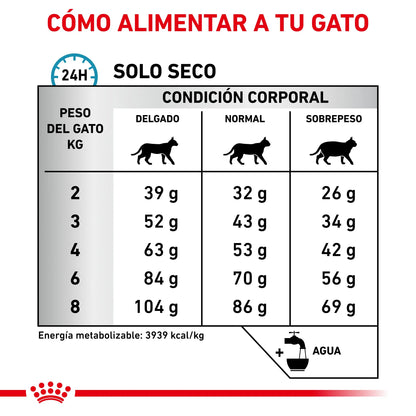 Royal Canin Anallergenic | Pienso Veterinario para Gatos con Intolerancias y Alergias Alimentarias al mejor precio -Todoanimal.es