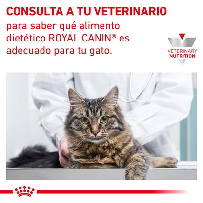 Royal Canin Anallergenic | Pienso Veterinario para Gatos con Intolerancias y Alergias Alimentarias al mejor precio -Todoanimal.es