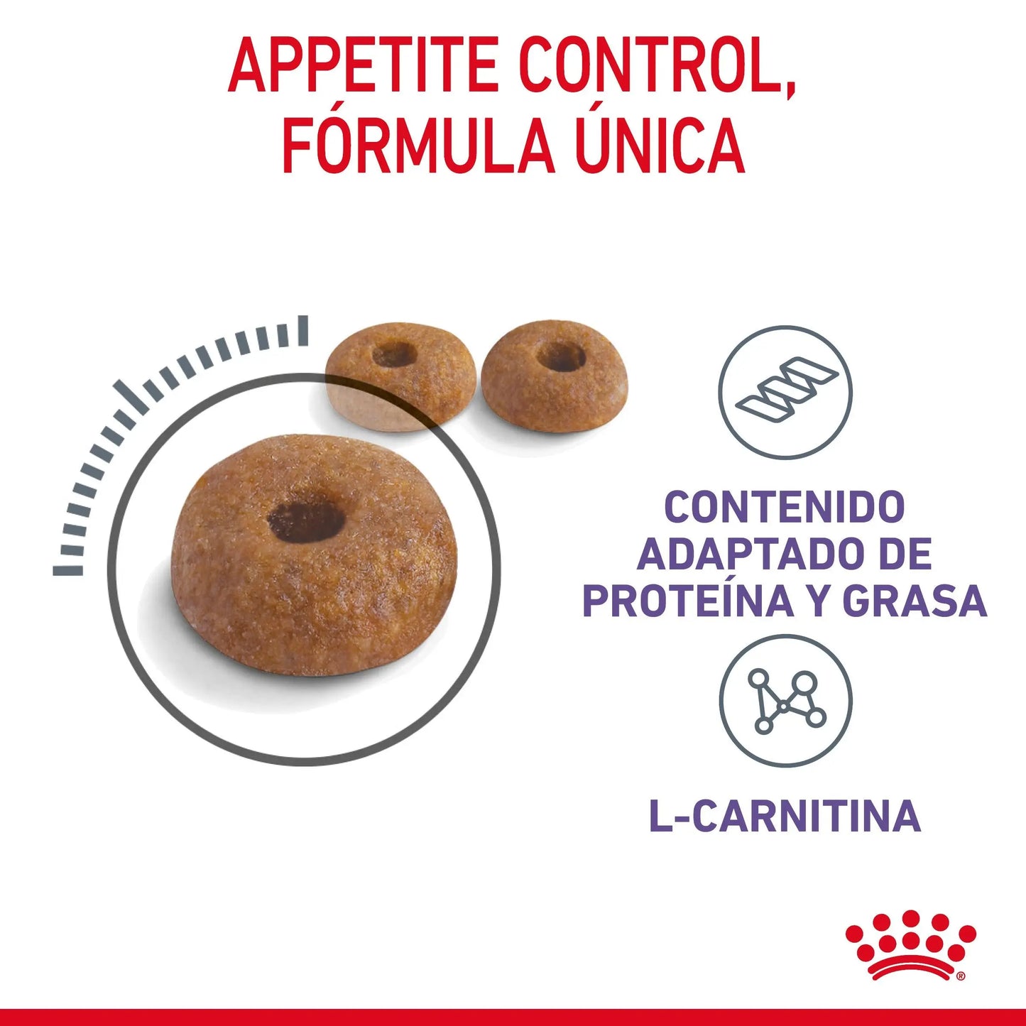 Royal Canin Appetite Control Pienso para Gatos al mejor precio -Todoanimal.es