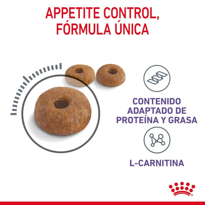 Royal Canin Appetite Control Pienso para Gatos al mejor precio -Todoanimal.es
