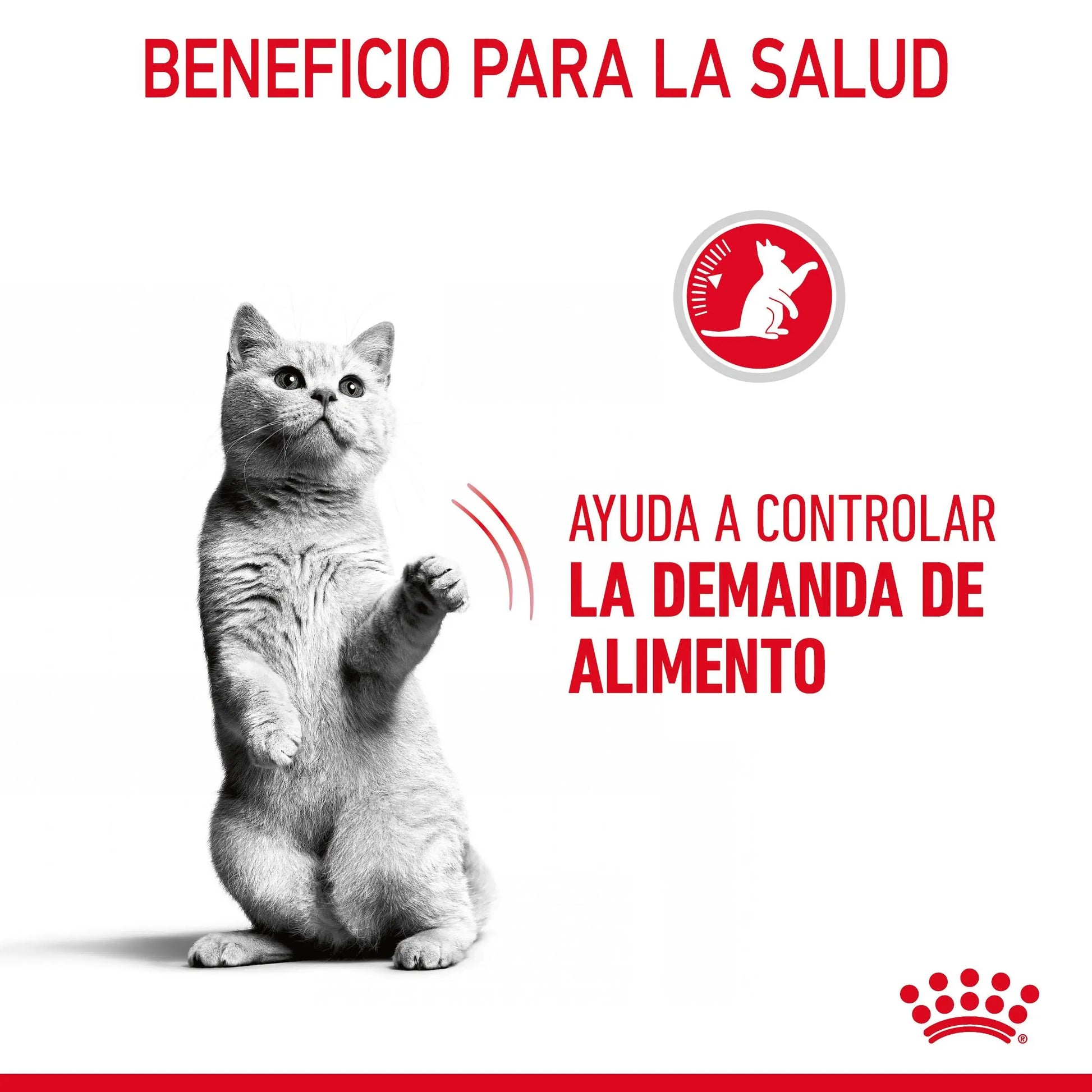 Royal Canin Appetite Control Pienso para Gatos al mejor precio -Todoanimal.es