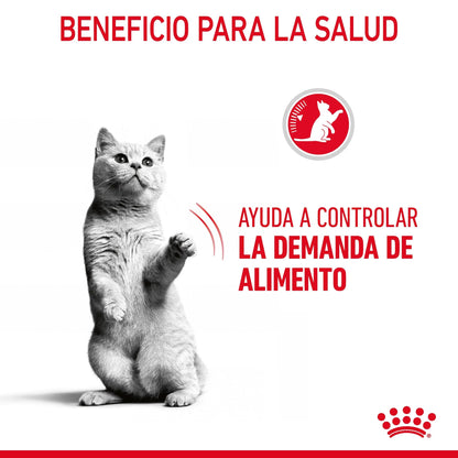 Royal Canin Appetite Control Pienso para Gatos al mejor precio -Todoanimal.es