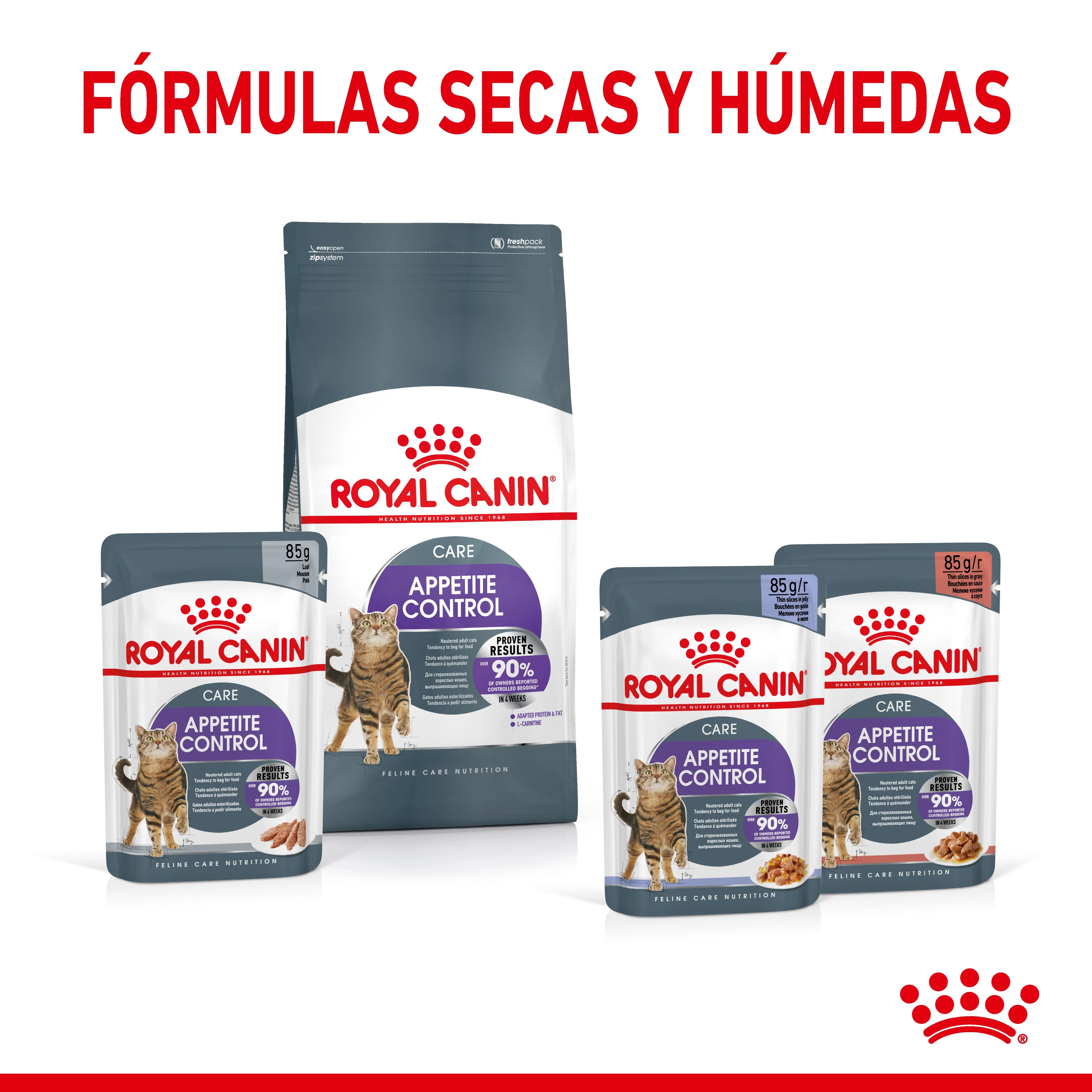 Royal Canin Appetite Control Pienso para Gatos al mejor precio -Todoanimal.es