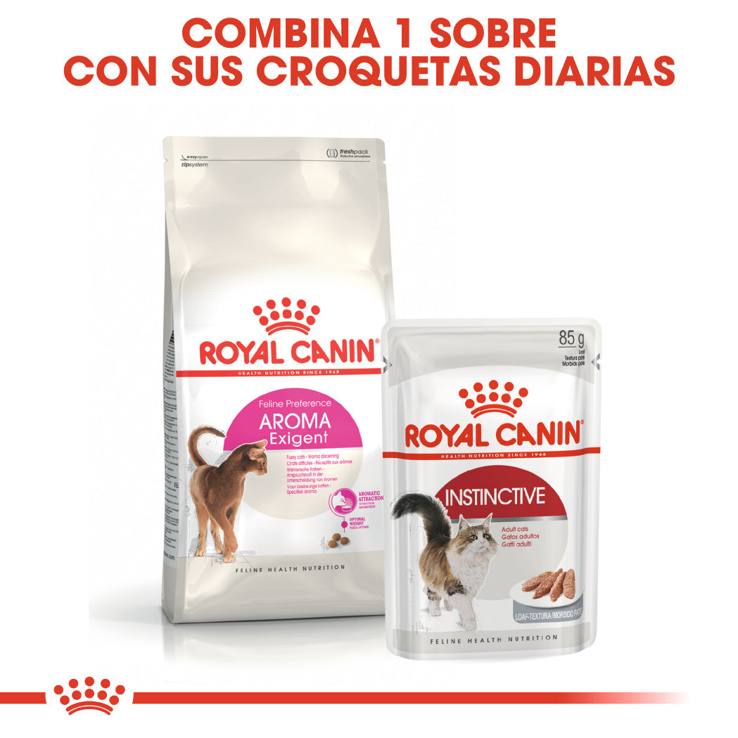 Royal Canin Aroma Exigent Pienso Seco para Gatos al mejor precio -Todoanimal.es