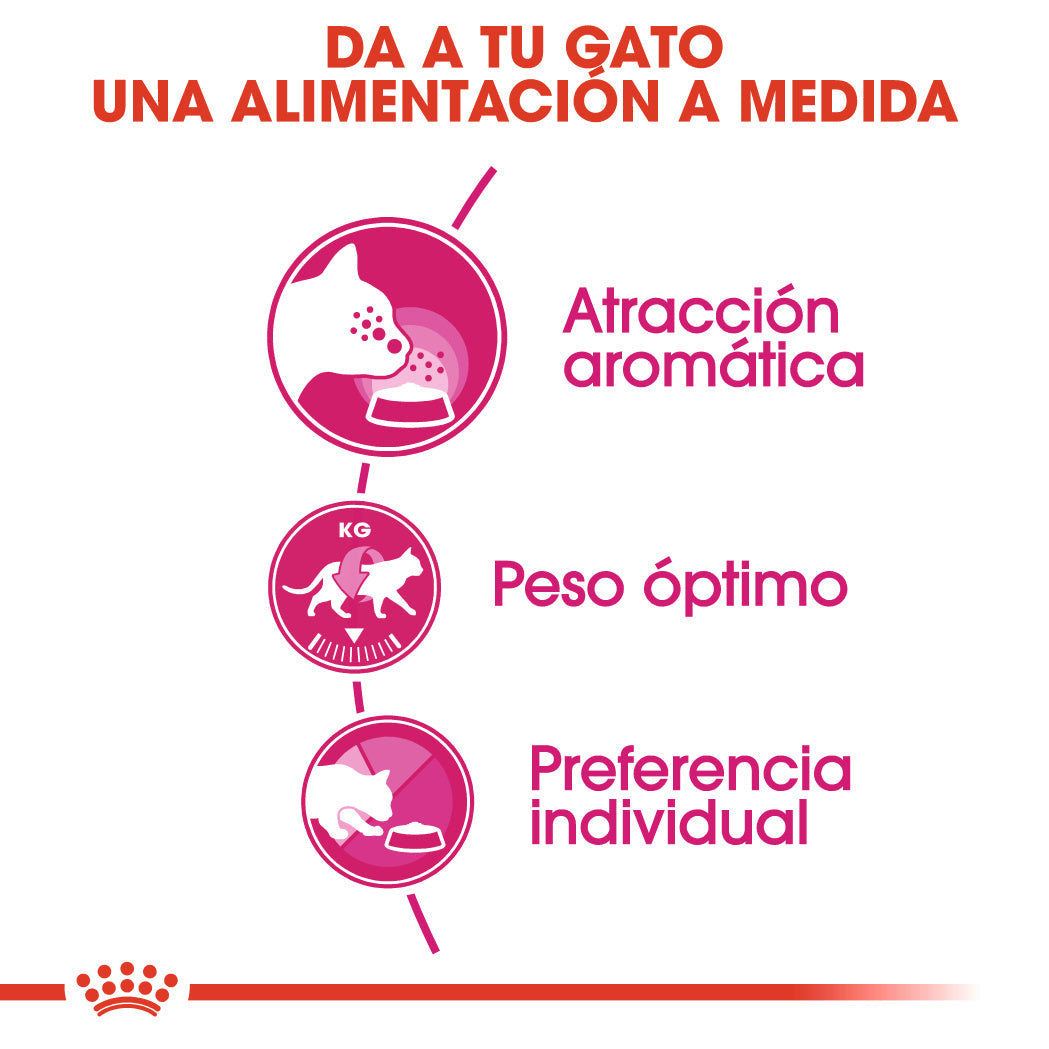 Royal Canin Aroma Exigent Pienso Seco para Gatos al mejor precio -Todoanimal.es