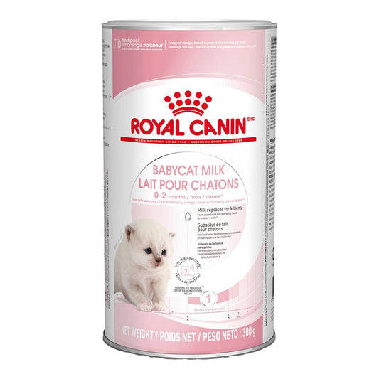 Royal Canin Babycat Milk 300 g Kit Leche en Polvo para Gatitos al mejor precio -Todoanimal.es