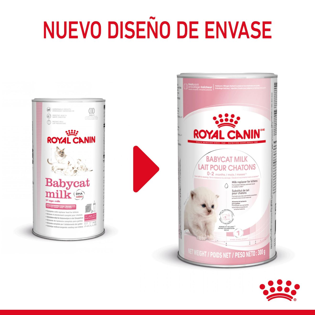 Royal Canin Babycat Milk 300 g Kit Leche en Polvo para Gatitos al mejor precio -Todoanimal.es