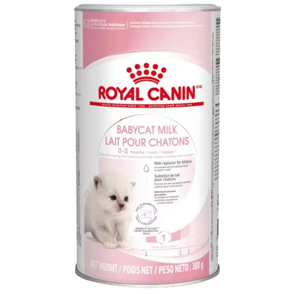 Royal Canin Babycat Milk 300 g al mejor precio -Todoanimal.es