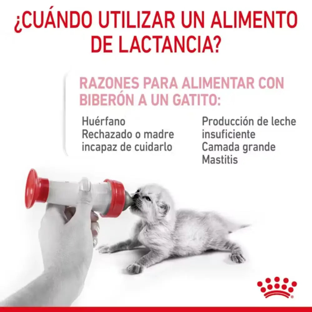 Royal Canin Babycat Milk 300 g al mejor precio -Todoanimal.es