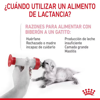 Royal Canin Babycat Milk 300 g al mejor precio -Todoanimal.es