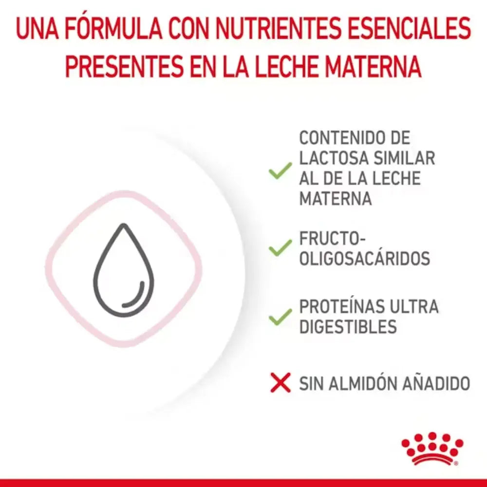Royal Canin Babycat Milk 300 g al mejor precio -Todoanimal.es
