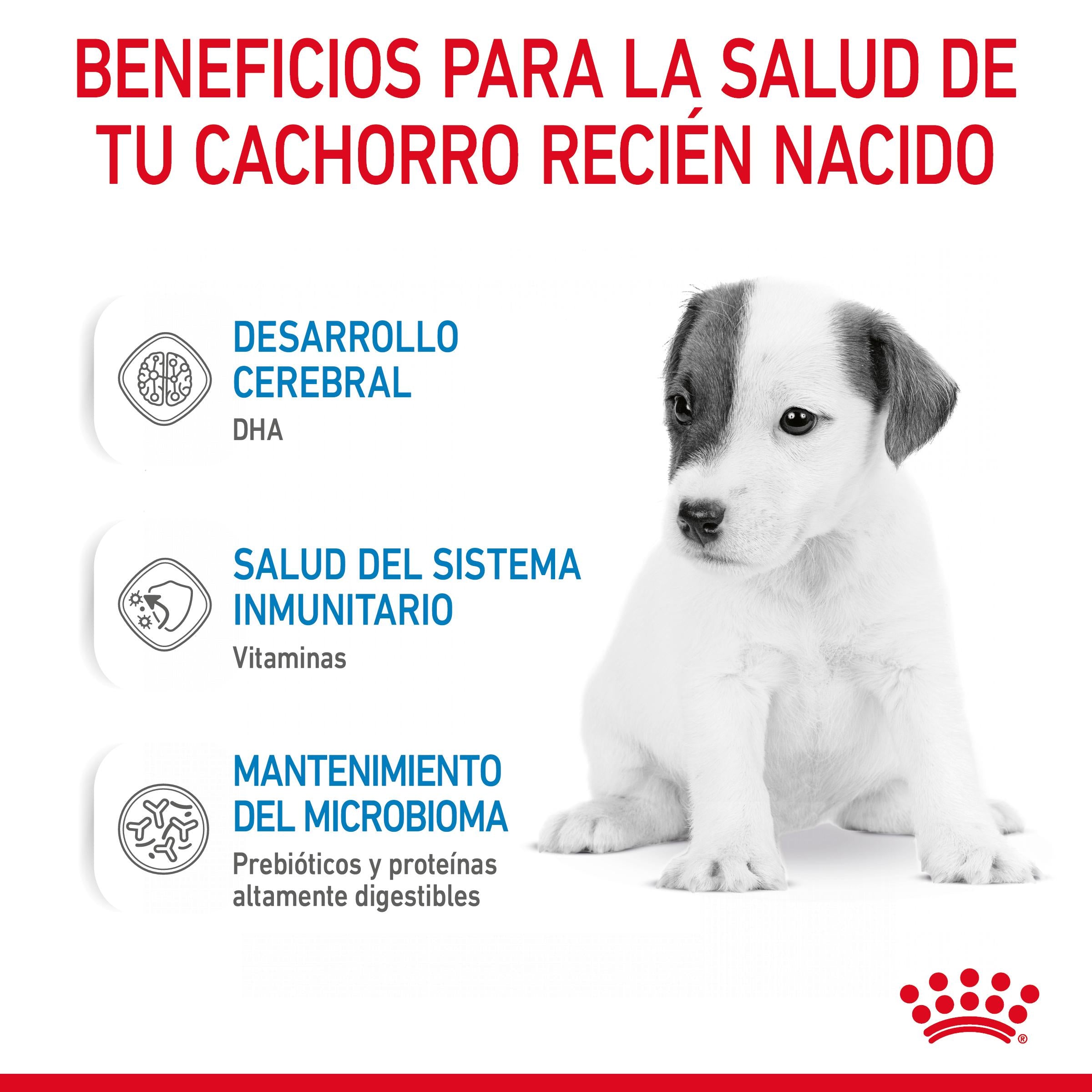 Royal Canin Babydog Milk Leche en Polvo para Cachorros al mejor precio -Todoanimal.es