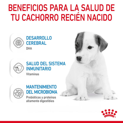Royal Canin Babydog Milk Leche en Polvo para Cachorros al mejor precio -Todoanimal.es