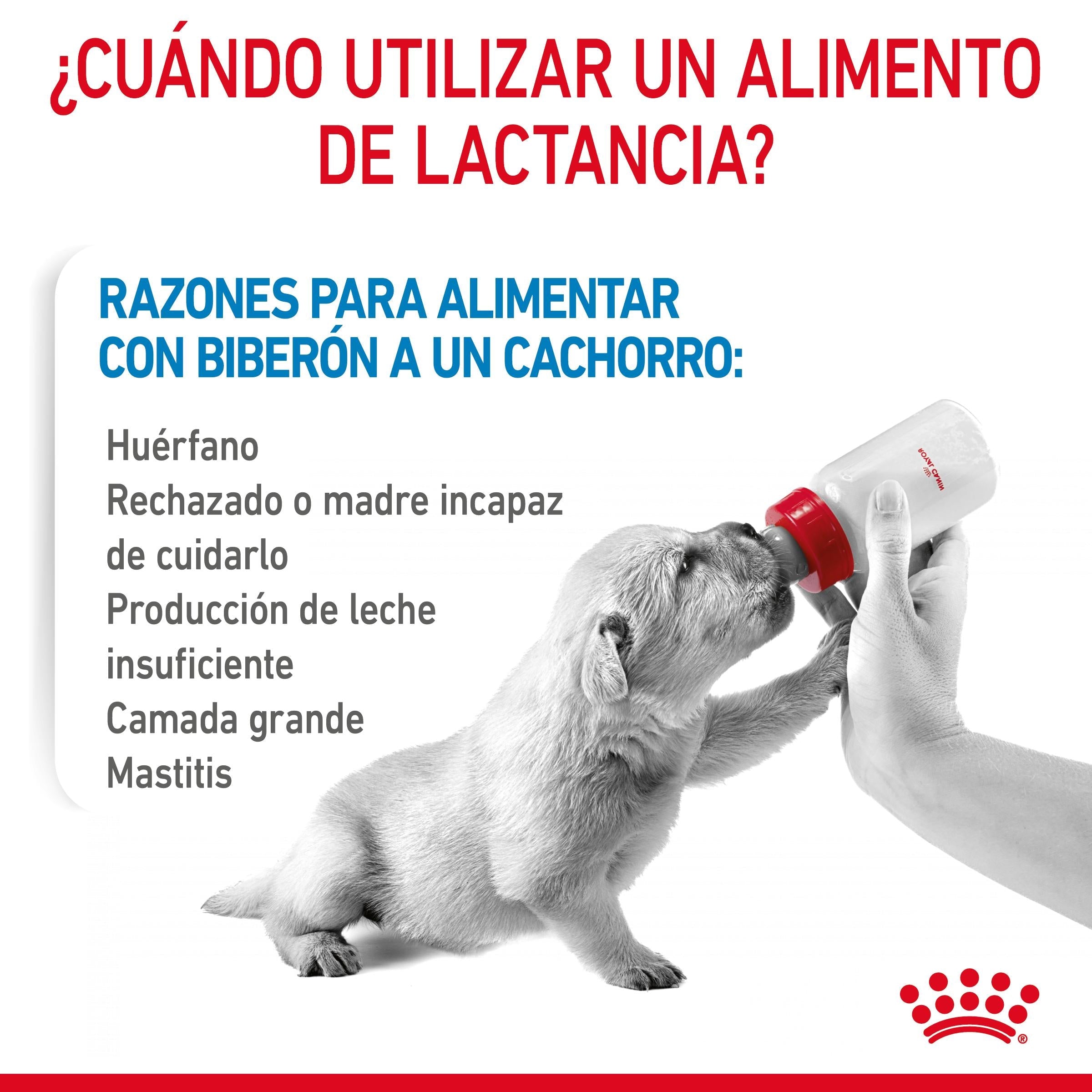 Royal Canin Babydog Milk Leche en Polvo para Cachorros al mejor precio -Todoanimal.es