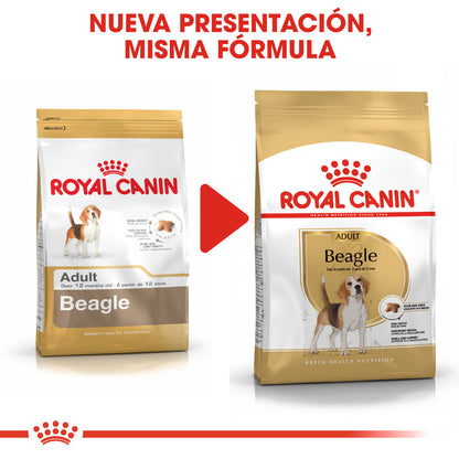 Royal Canin Beagle Adulto Pienso para Perros de Raza al mejor precio -Todoanimal.es