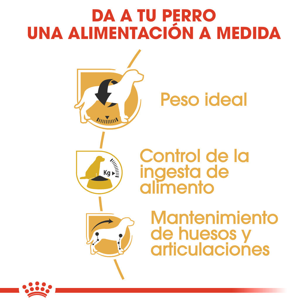 Royal Canin Beagle Adulto Pienso para Perros de Raza al mejor precio -Todoanimal.es