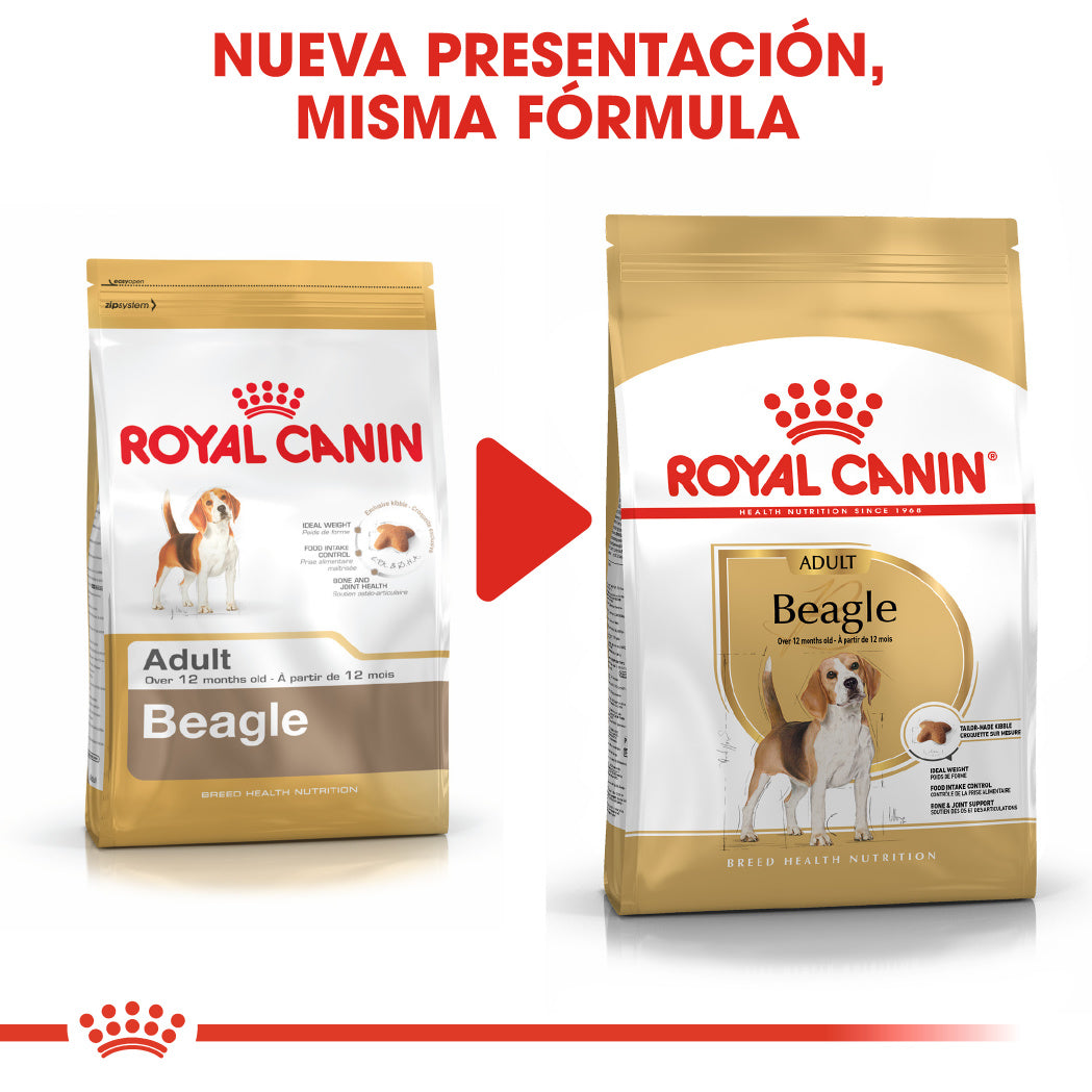 Royal Canin Beagle, Adulto al mejor precio -Todoanimal.es