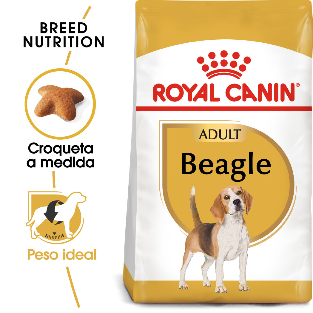 Royal Canin Beagle, Adulto al mejor precio -Todoanimal.es
