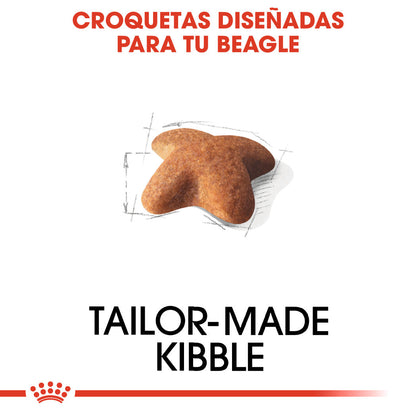 Royal Canin Beagle, Adulto al mejor precio -Todoanimal.es