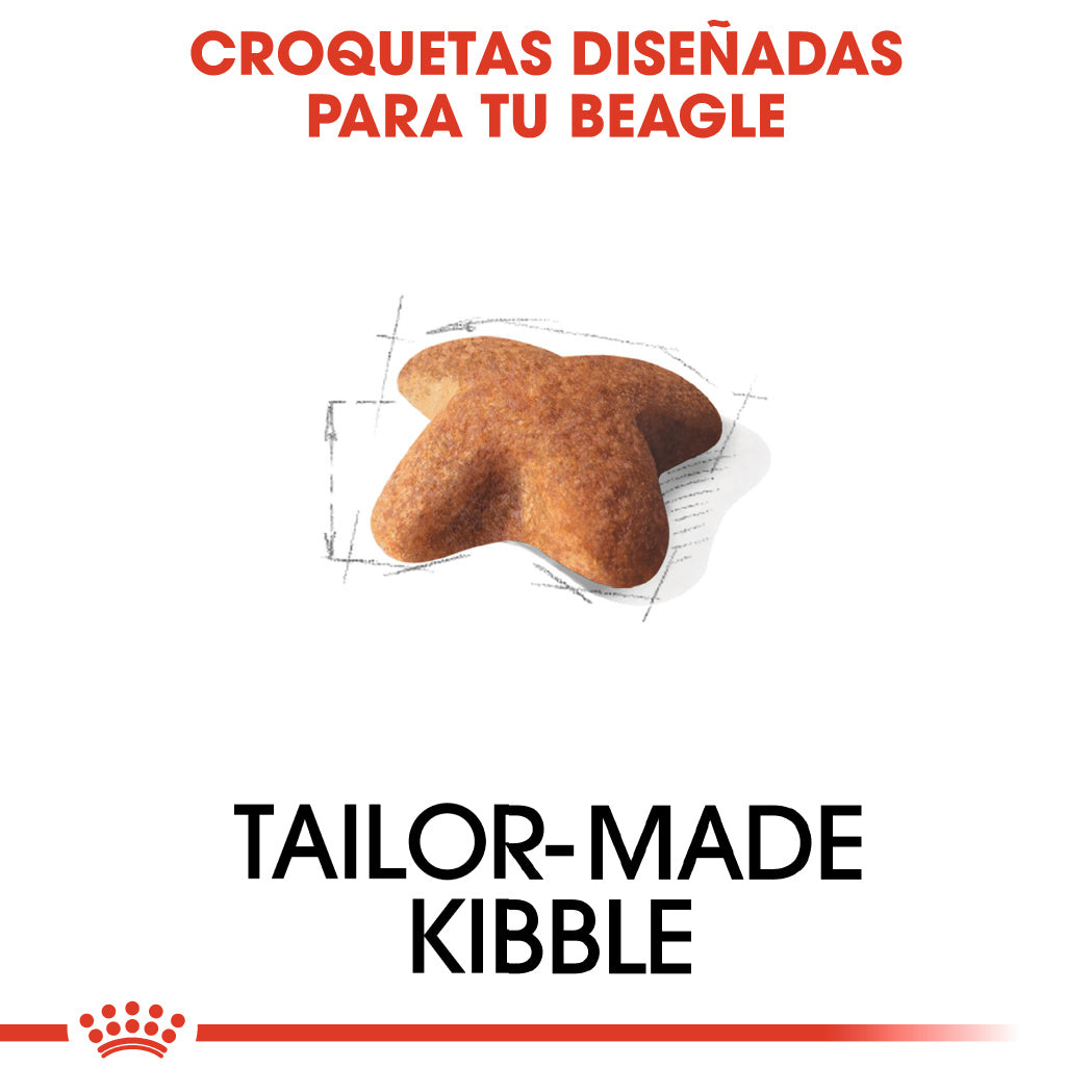 Royal Canin Beagle, Adulto al mejor precio -Todoanimal.es