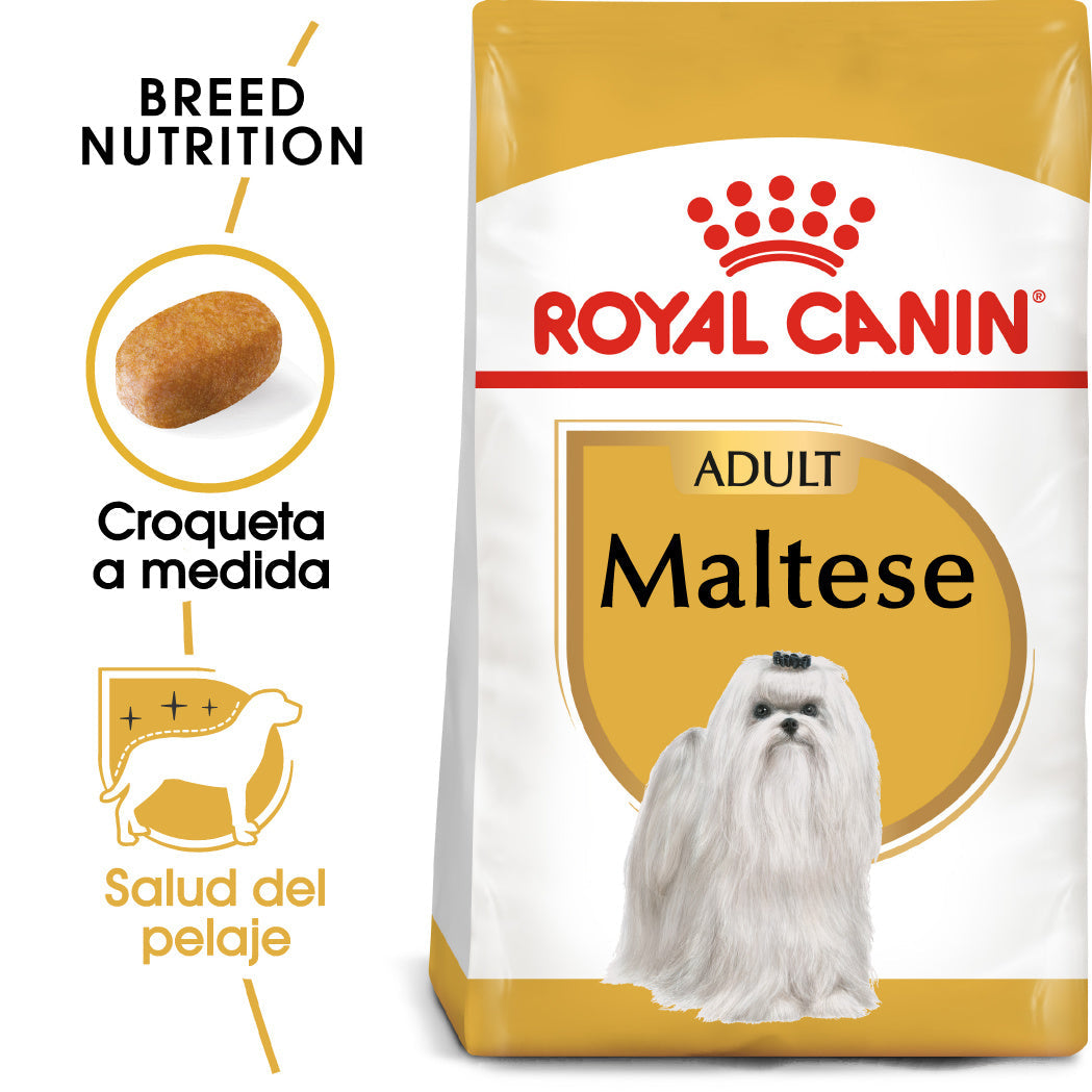 Royal Canin Bichón Maltés Pienso para Perros Adultos de Raza al mejor precio -Todoanimal.es