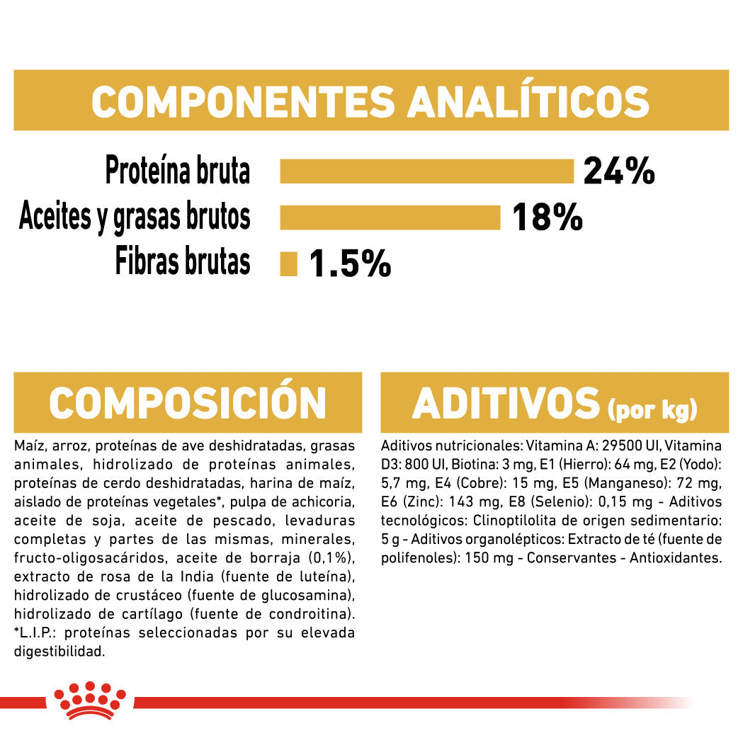 Royal Canin Bichón Maltés Pienso para Perros Adultos de Raza al mejor precio -Todoanimal.es