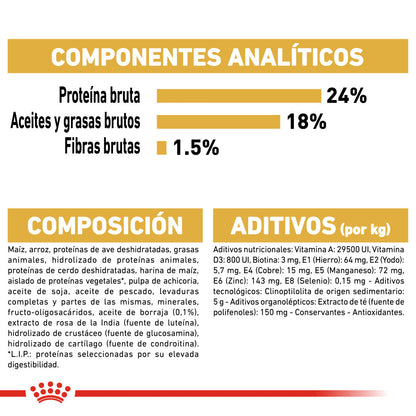 Royal Canin Bichón Maltés Pienso para Perros Adultos de Raza al mejor precio -Todoanimal.es