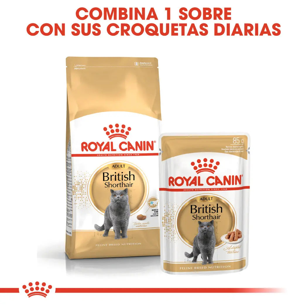 Royal Canin British Shorthair 2 kg Pienso Seco para Gatos al mejor precio -Todoanimal.es