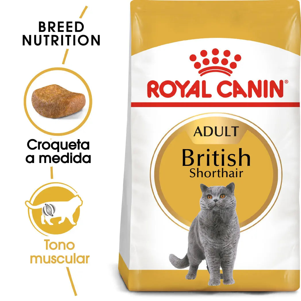 Royal Canin British Shorthair 2 kg Pienso Seco para Gatos al mejor precio -Todoanimal.es
