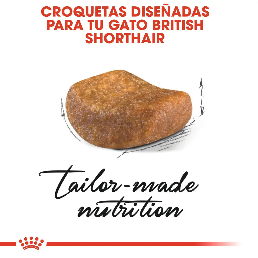 Royal Canin British Shorthair 2 kg Pienso Seco para Gatos al mejor precio -Todoanimal.es