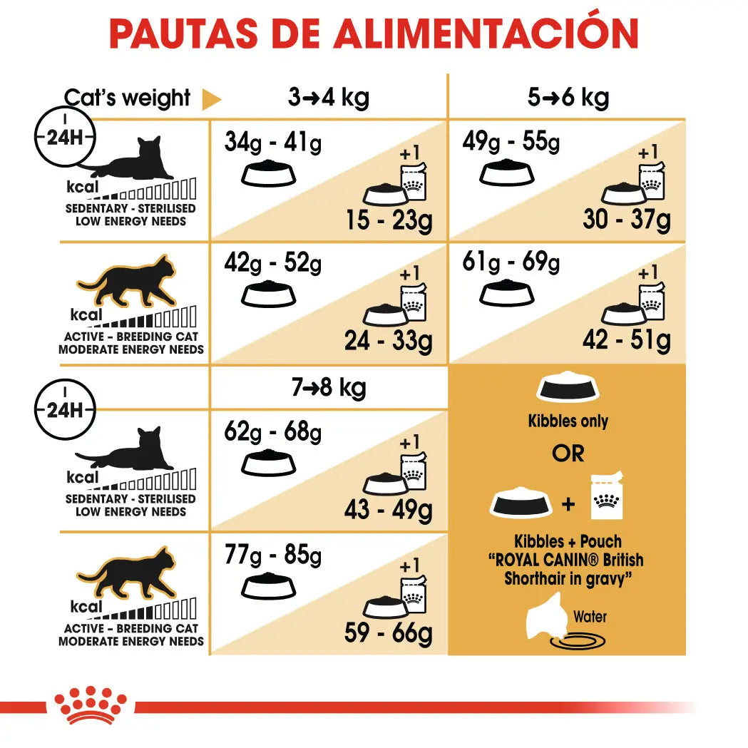 Royal Canin British Shorthair 2 kg Pienso Seco para Gatos al mejor precio -Todoanimal.es