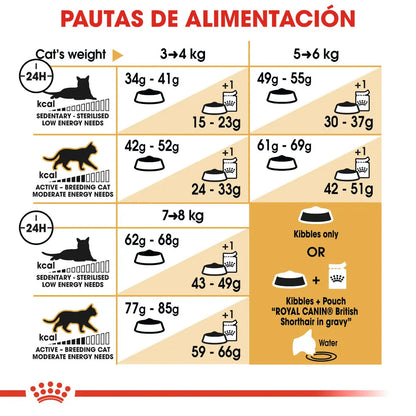 Royal Canin British Shorthair 2 kg Pienso Seco para Gatos al mejor precio -Todoanimal.es