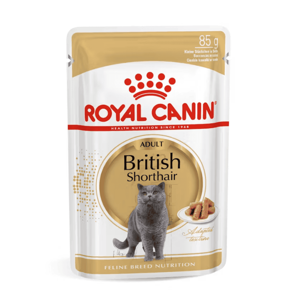 Royal Canin British Shorthair Paté Húmedo para Gatos al mejor precio -Todoanimal.es