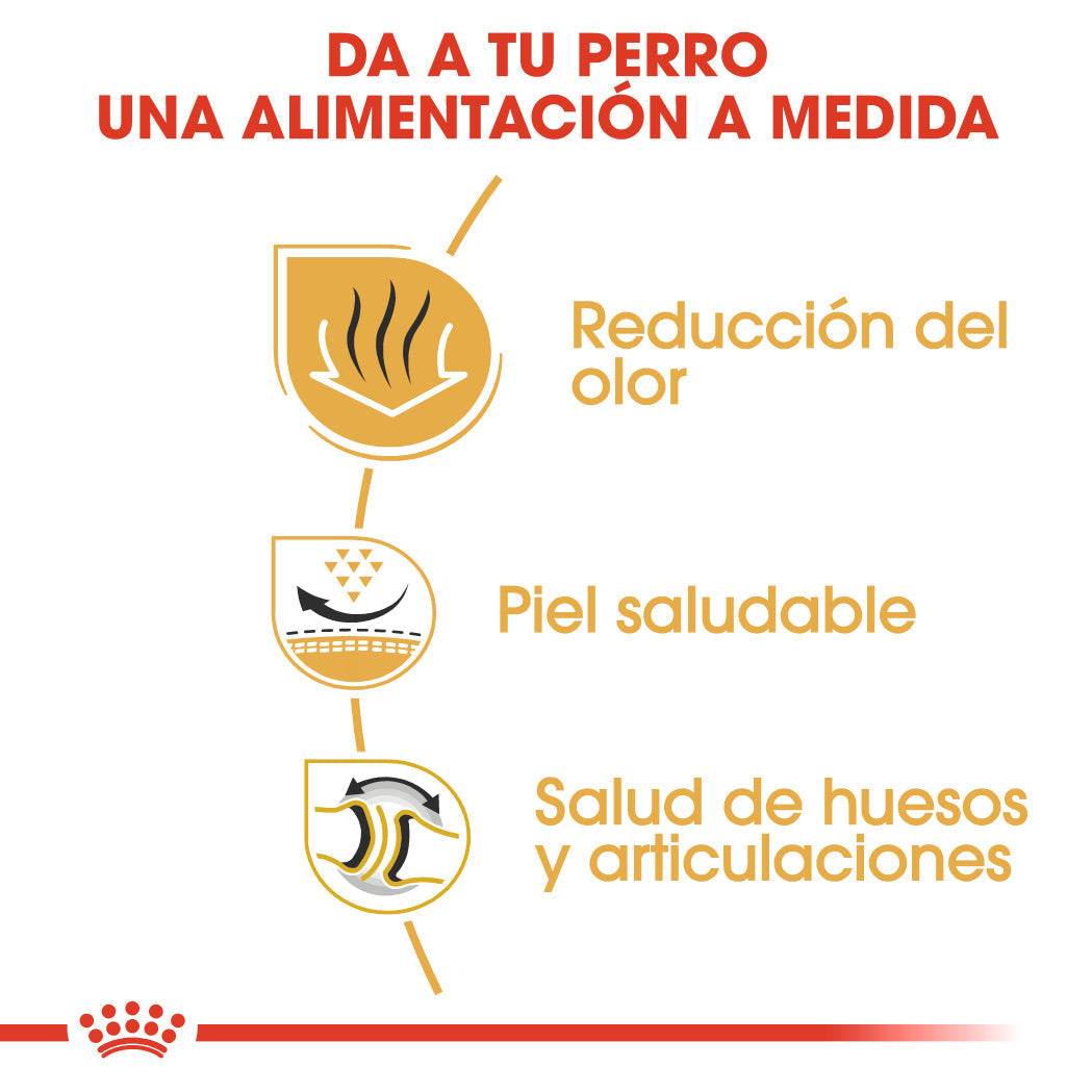 Royal Canin Bulldog Inglés Pienso para Perros de Raza Bulldog Adultos al mejor precio -Todoanimal.es