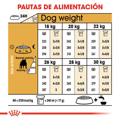 Royal Canin Bulldog Inglés Pienso para Perros de Raza Bulldog Adultos al mejor precio -Todoanimal.es