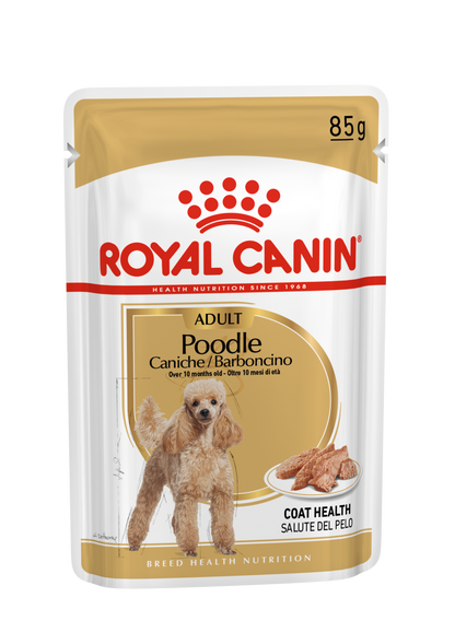 Royal Canin Caniche Poodle Paté Adulto 85 g Comida Húmeda para Perros al mejor precio -Todoanimal.es