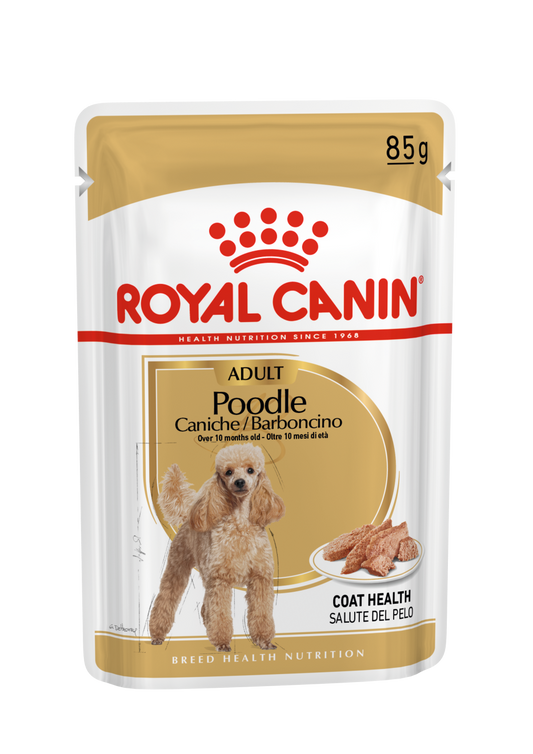 Royal Canin Caniche Poodle Paté Adulto 85 g Comida Húmeda para Perros al mejor precio -Todoanimal.es
