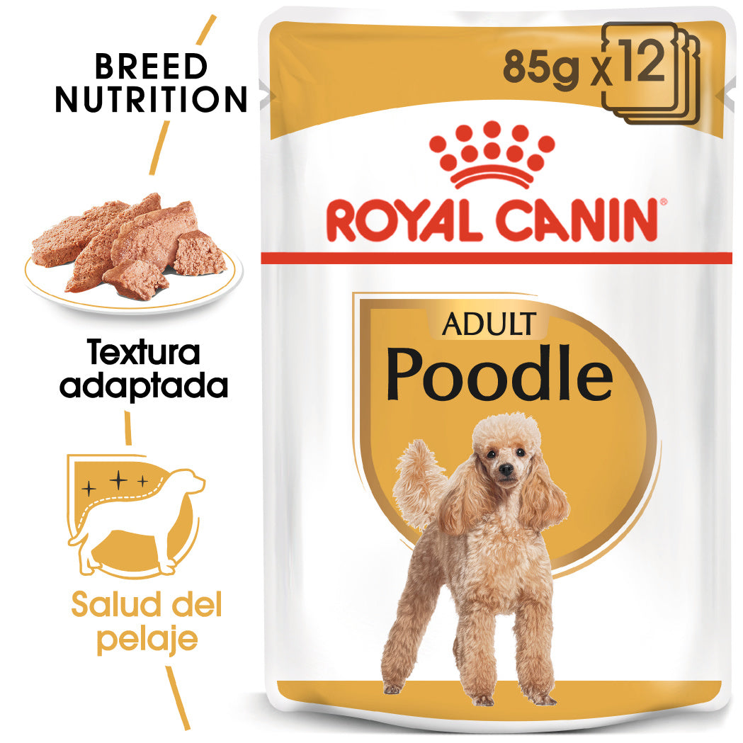 Royal Canin Caniche Poodle Paté Adulto 85 g Comida Húmeda para Perros al mejor precio -Todoanimal.es