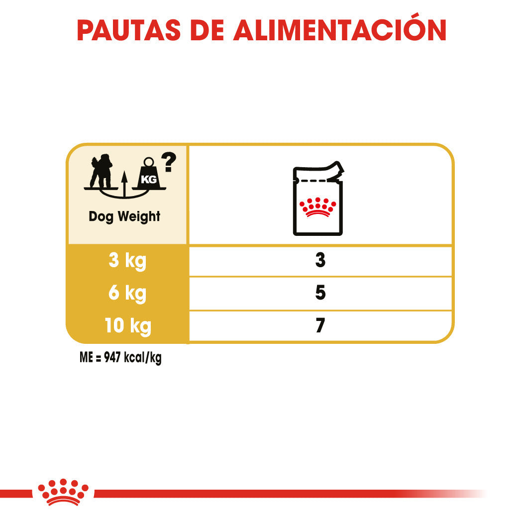 Royal Canin Caniche Poodle Paté Adulto 85 g Comida Húmeda para Perros al mejor precio -Todoanimal.es