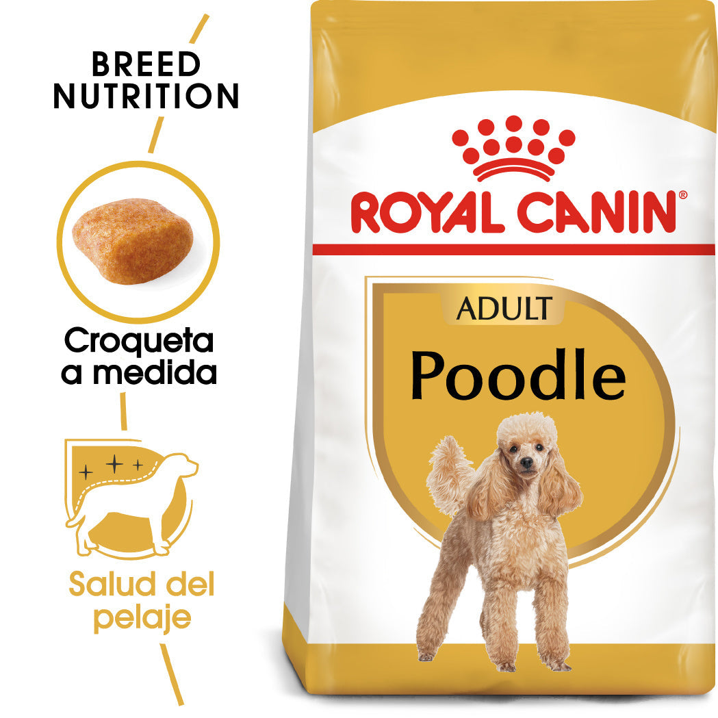 Royal Canin Caniche Poodle Pienso para Perros de Raza al mejor precio -Todoanimal.es