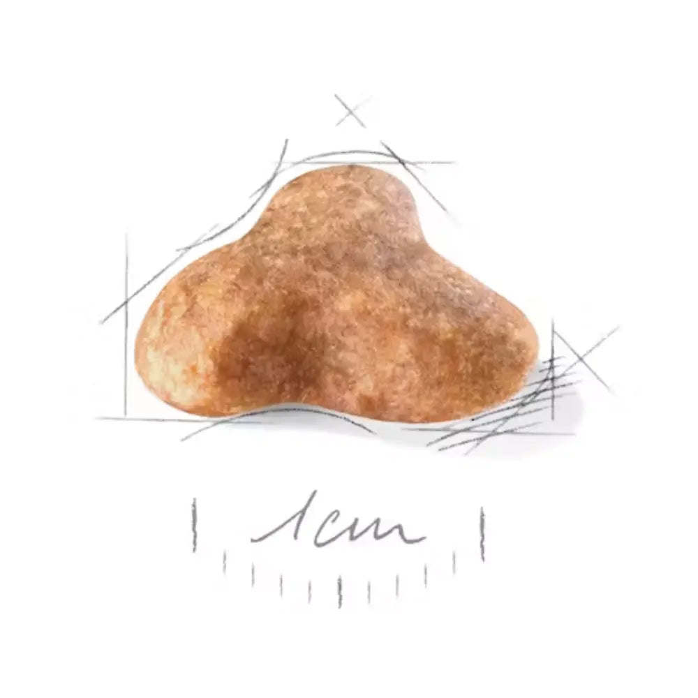 Royal Canin Carlino Pug 25 al mejor precio -Todoanimal.es