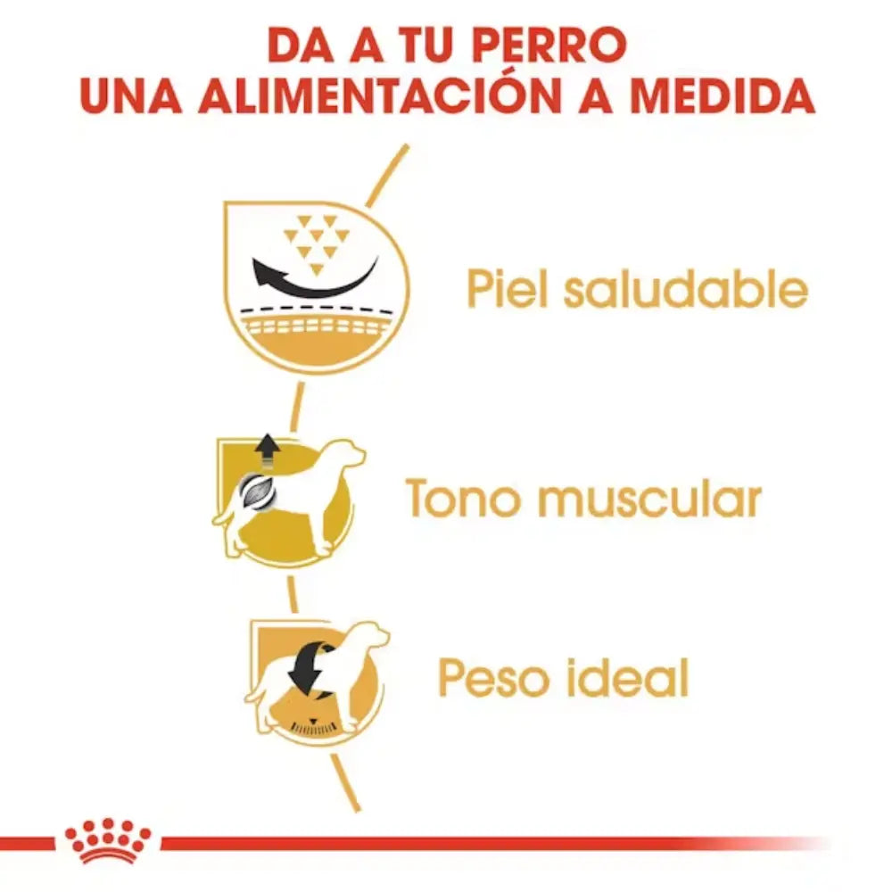Royal Canin Carlino Pug 25 al mejor precio -Todoanimal.es