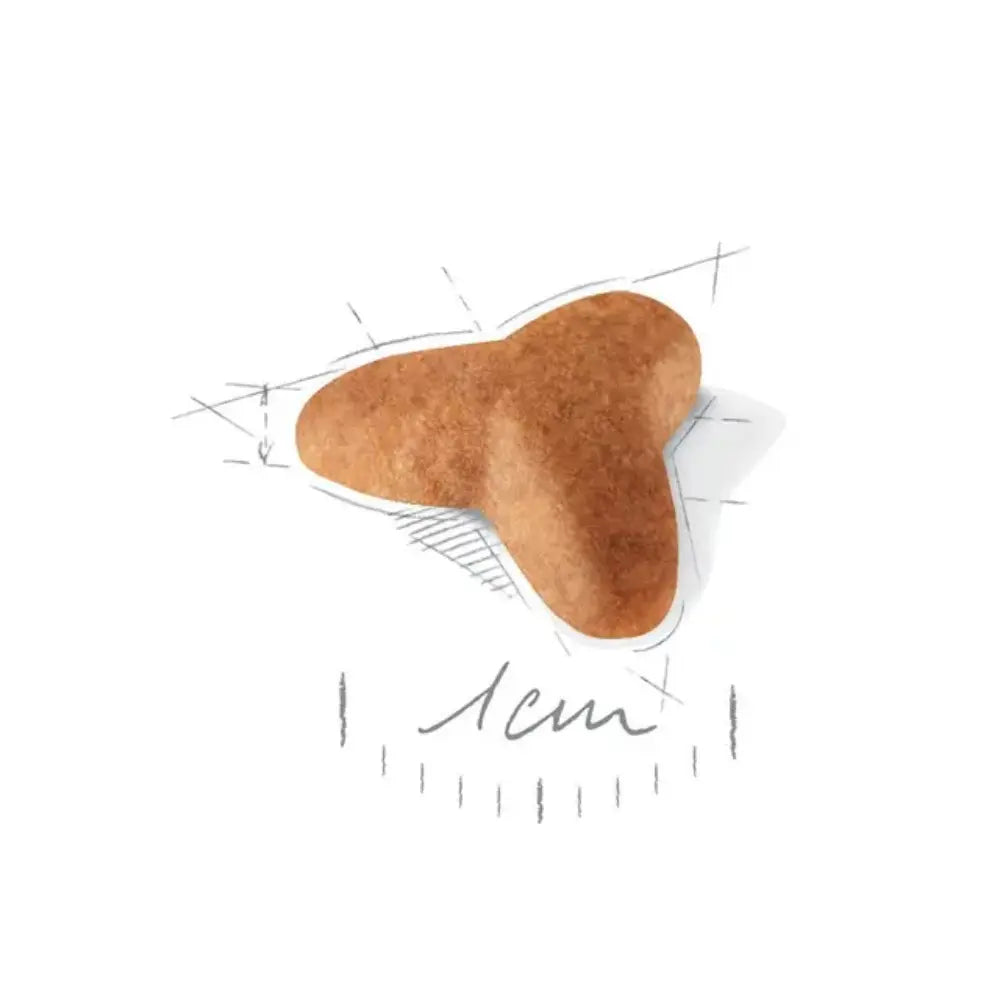 Royal Canin Carlino Pug Puppy 1.5 kg al mejor precio -Todoanimal.es